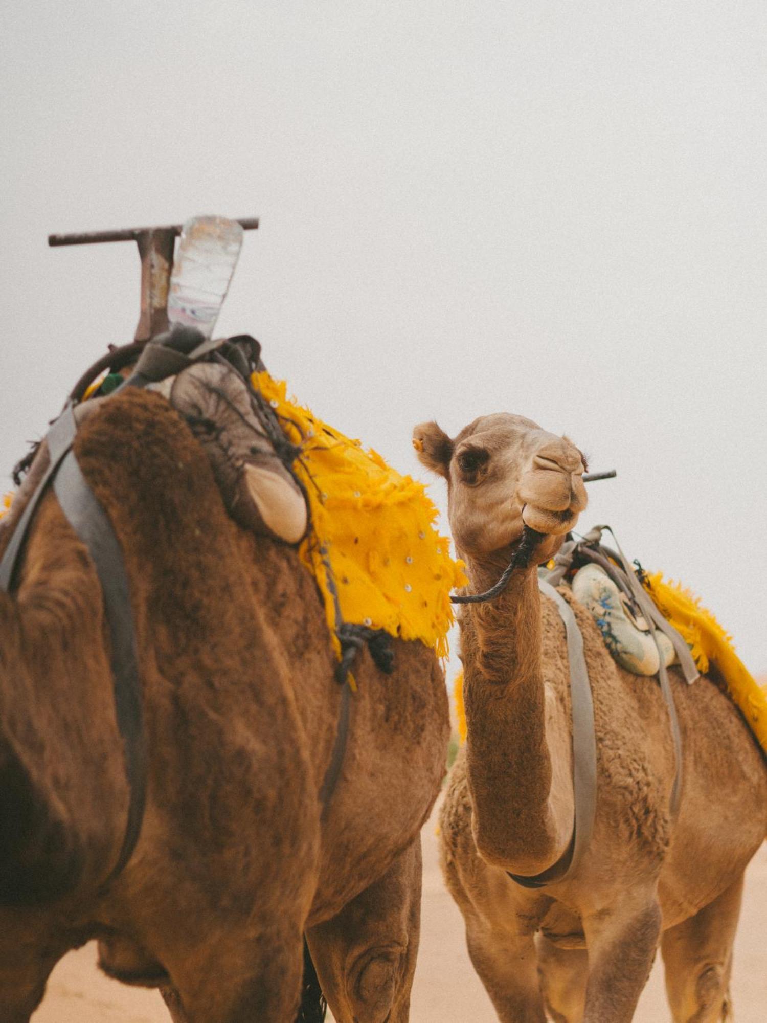 Kam Kam Dunes Merzouga Exterior foto